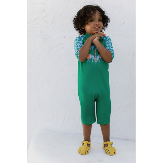 Palm of Arabia Swimsuit