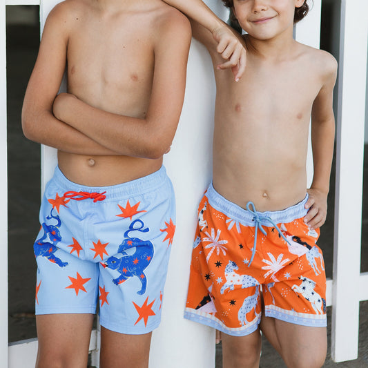 Celestial Leopard Swimshorts