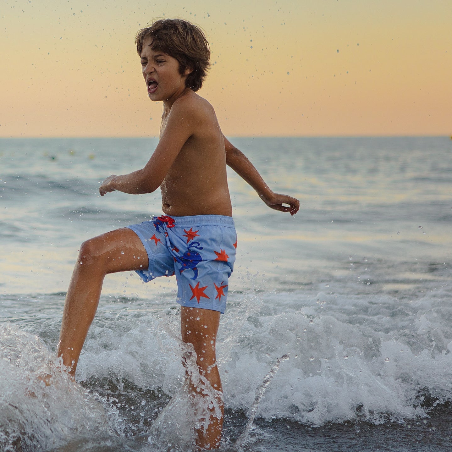 Celestial Leopard Swimshorts
